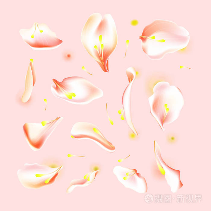 模糊的春花花瓣设置与装饰元素, 石门.