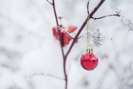 美丽的圣诞装饰，红色的球和一个小礼物挂在一个雪地兽医关闭