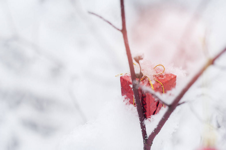 美丽的圣诞装饰，红色的球和一个小礼物挂在一个雪地兽医关闭