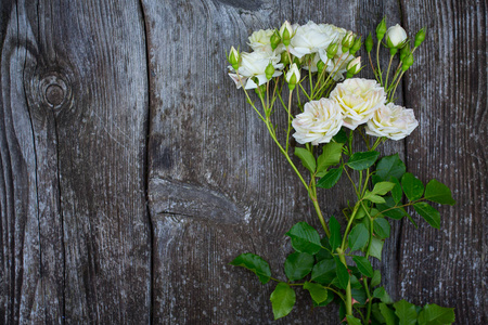 木制表面上美丽的白色玫瑰