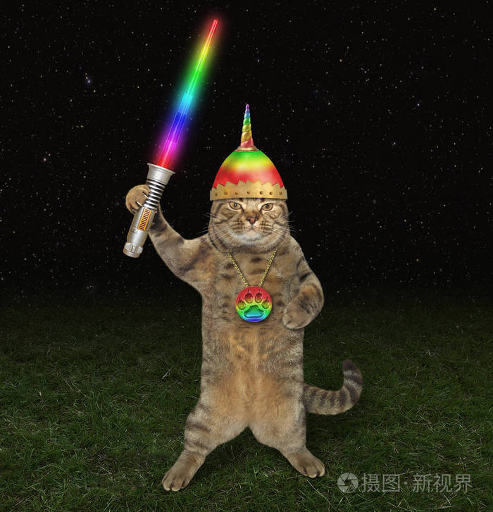 戴着骑士头盔的猫战士晚上在战场上他拿着一把发光的剑