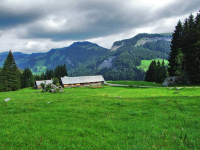 Lutisalp山区，靠近Bernhalden村瑞士圣加伦州