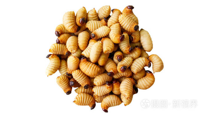 西米虫,从白色背景上分离出的红掌象甲幼虫,有夹闭路径