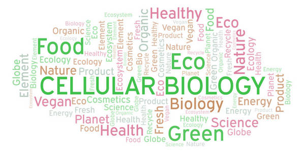 细胞生物学单词云。 WordCloud仅用文本制作。