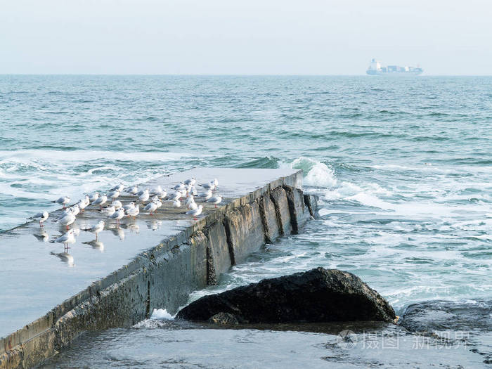 海鸥栖息在防波堤或石海码头的末端。 冬天的海景。
