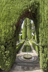 阿罕布拉宫的花园景观