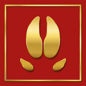 猪的象征年。 金猪足迹红色背景金方格式框架。 中国的幸运象征。