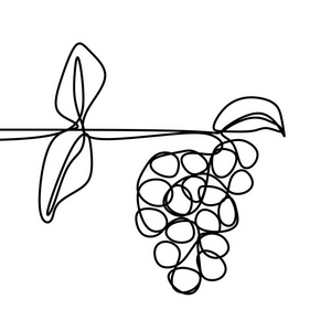白色背景下分离的葡萄一条线提取载体
