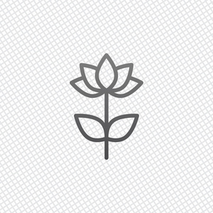 简单的花符号 线性图标 带有透明背景阴影的白色图标插画 正版商用图片162xgs 摄图新视界 简单的花符号 线性图标 带有透明背景阴影的白色图标插画 正版商用图片162xgs 摄图新视界
