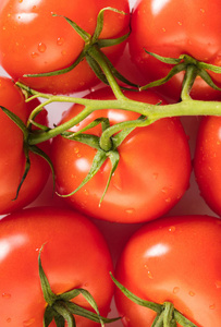 成熟番茄配水滴特写，蔬菜背景