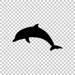 海豚的剪影。 在透明的背景上。 黑色物体