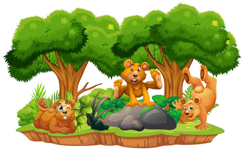 熊在孤立的丛林岛插图
