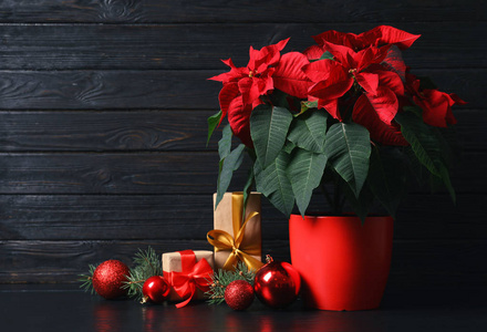 锅与一品红传统圣诞花和礼品盒在桌子上的木制背景。 文本空间