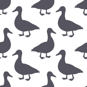鸭子剪影无缝的样式.鸭肉食品包装或肉店设计背景.向量例证照片