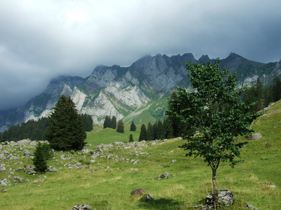瑞士圣加伦州圣塔萨尔普地区的高山景观