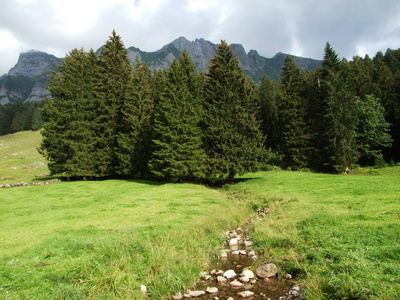 瑞士圣加伦州圣塔萨尔普地区的高山景观