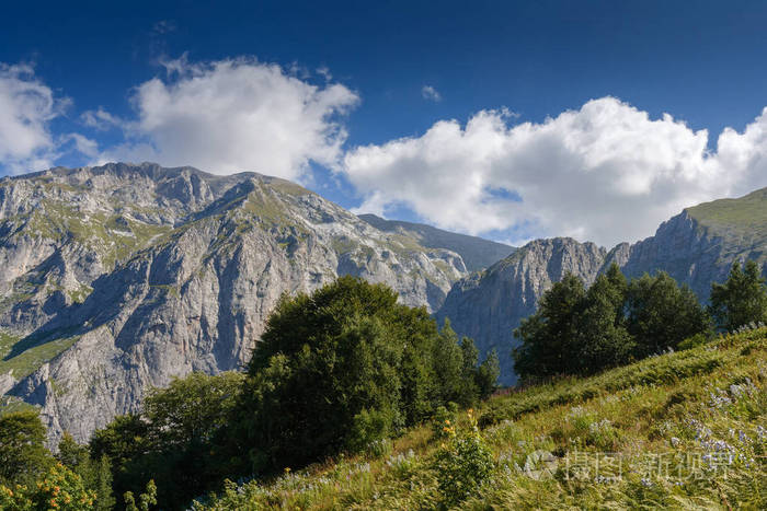 高山亚高山照亮了大自然的太阳