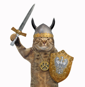 猫穿着奖章和戴着角的头盔，手持剑和龙形盾牌。 白色背景。