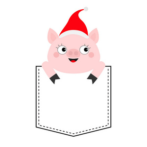 猪坐在口袋里。 可爱的卡通人物。 圣诞老人帽。 脸和手。 你好，冬天。 圣诞快乐。 新年快乐。 白色背景。 平面设计。 矢量插图