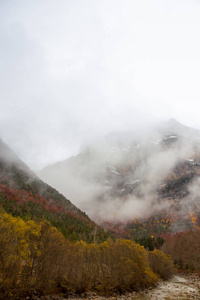 大自然中的秋景