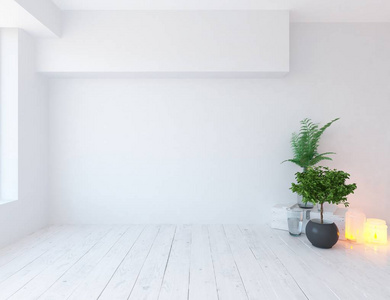 想法是一个白色的空斯堪的纳维亚房间内部与植物在木制地板上。 家北欧内部。 三维插图