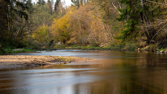 绿林中平静的河流景观图片