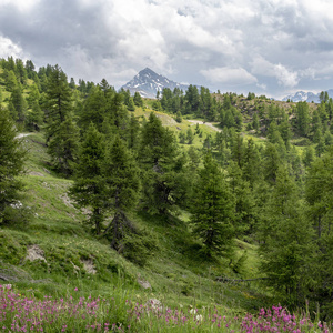 Assietta and Colle delle Finestre, Turin, Piedmont, italy, at su