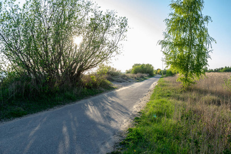 蓝天下的柏油路