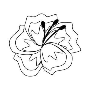 花圆符号孤立矢量插图图形设计