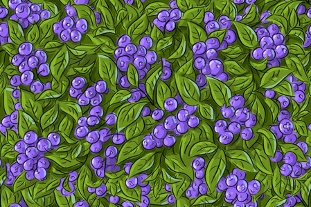 与蓝莓和叶子无缝图案