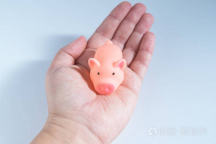 可爱的小猪猪在女人的手掌上. 护理保护和安全概念