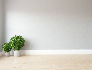 空虚的斯堪的纳维亚房间内部与植物在木制地板上的想法。 家北欧内部。 三维插图