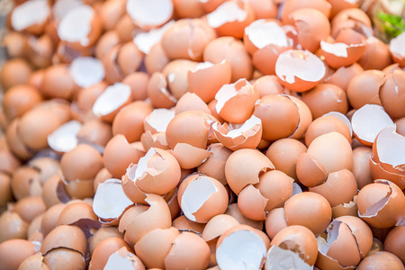 破碎的蛋壳图片