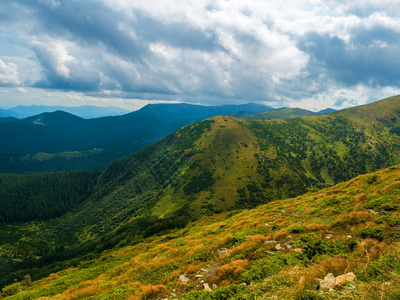 夏日的山景。绿色的草地。高地。