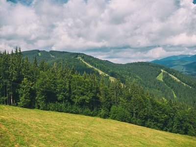 夏日的山景。绿色的草地。高地。