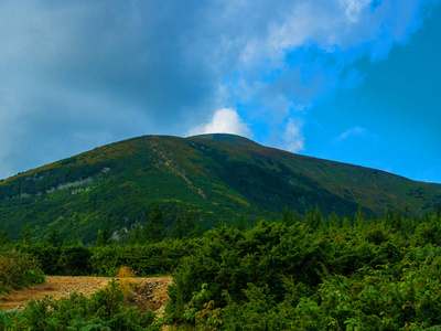 夏日的山景。绿色的草地。高地。