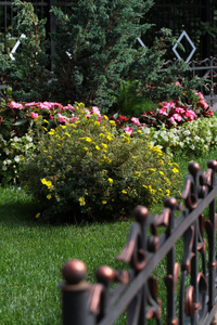 美丽的彩色花坛在夏季公园