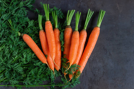 明亮成熟的胡萝卜，桌子上有叶子。 概念健康食品素食生食胡萝卜素和维生素ab的来源。