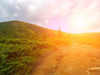 夏季山区景观。 绿色的草地。 高高的山丘。夕阳