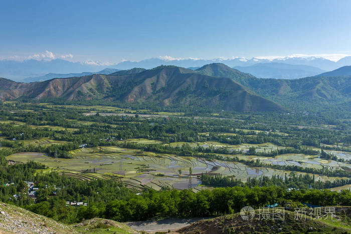 美丽的克什米尔河谷景观和稻田梯田