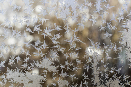 在霜冻的日子里，玻璃上有各种各样的霜