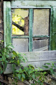一座被废弃的房子的老窗户，玻璃破碎，堵塞