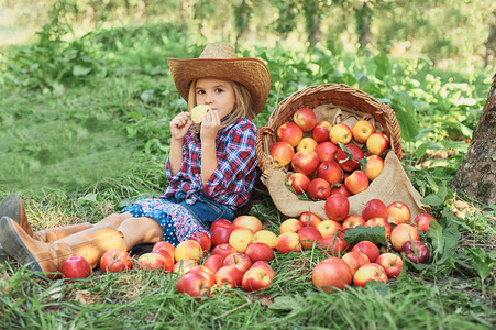 美丽的女孩在果园里吃有机苹果. 收获概念.