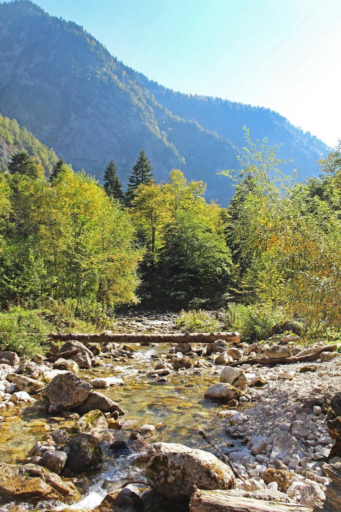 秋天山河上木桥的美丽景色森林里的山河阿布哈兹美丽的风景