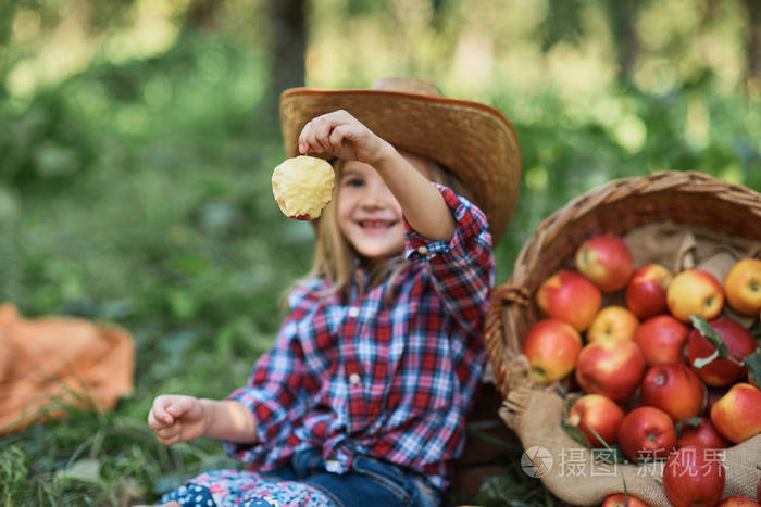 花园幼儿在秋天收获时吃水果. 苹果采摘.