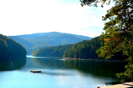 巴纳特瓦利乌格湖及其周围环境的鸟瞰图。 罗马尼亚特兰西瓦尼亚森林的典型景观。 阳光明媚的仲夏的绿色景观