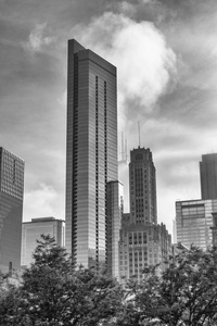 芝加哥美国美丽的建筑景观