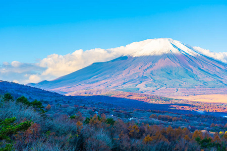 日本秋季稻子或山坂湖富士山的美丽景观