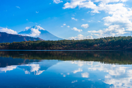 日本大林湖边枫叶树的富士山美景