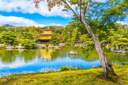 美丽的金阁寺，拥有日本京都的金色帕万地标